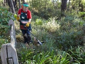 DIY Step Image - How to create a firebreak . Blob storage upload.