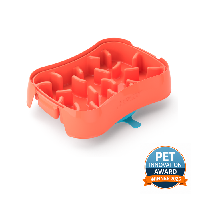 Super Feedy Slow Feeder Dog Bowl - Ocean Red