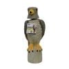 Jack Pest Deterrent Bobble Head Eagle