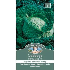 Mr Fothergill's Cabbage Savoy F1 Seeds