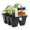 6 Cell Chilli Mix - Capsicum annuum - Fusion Vegetable Range