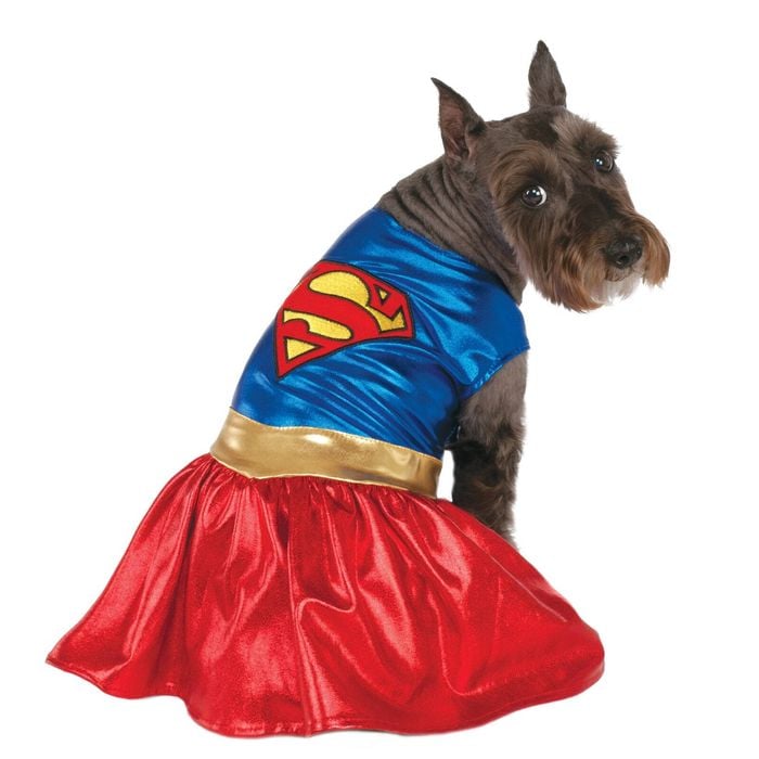 DC Comics Warner Bros Supergirl Pet Dogs Costume - Size L