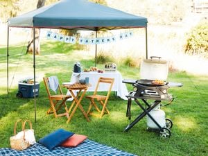 Outdoor picnic area with timber sun chairs, picnic table and happy fathers day banner