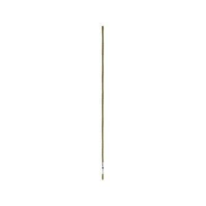 Jack 900mm Olive Decorative Garden Stake