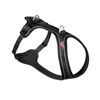 Curli Belka Extra Large Black Dog Comfort Harness