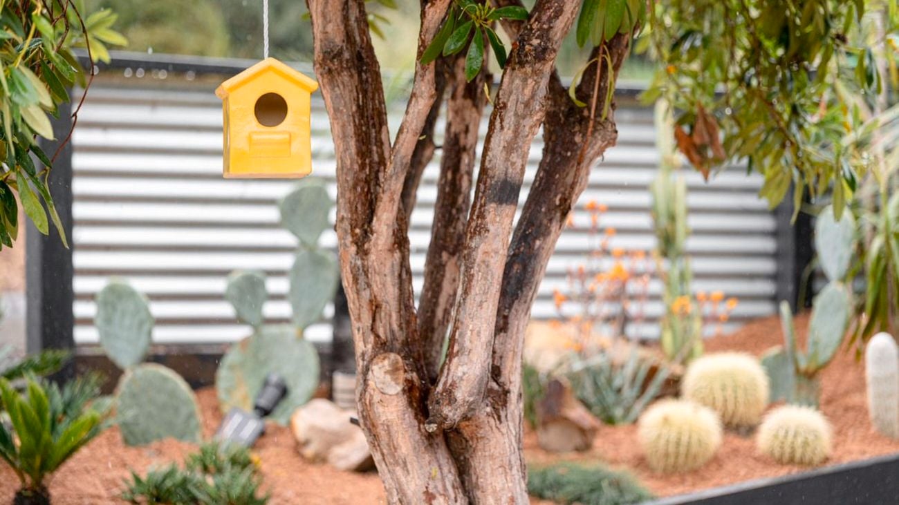 Yellow timber bird box hanging on a branch