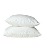 Royal Comfort Luxury Duck Feather & Down Pillow Set 50 x 75 cm White