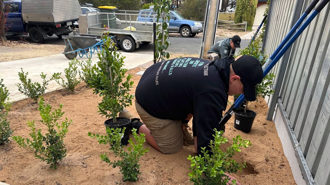 Two landscapers kneeling in sand planting green plants