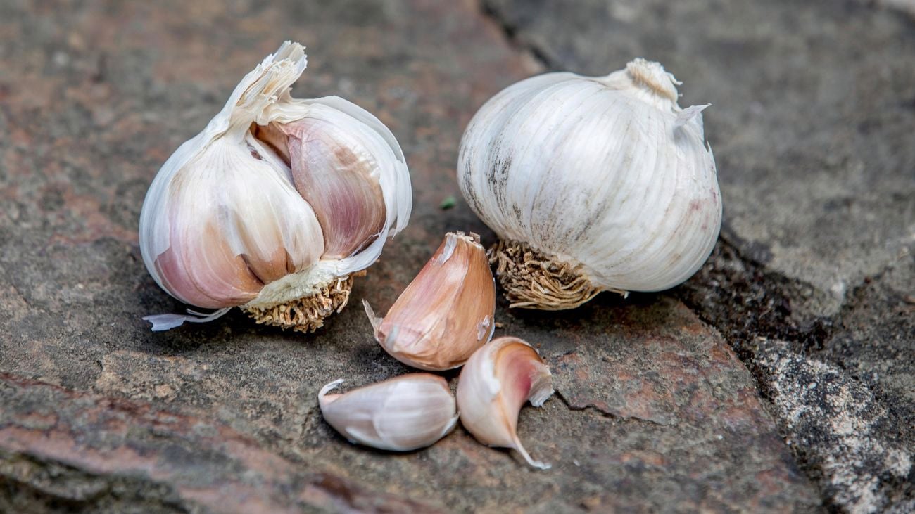 close-up of two garlic cloves