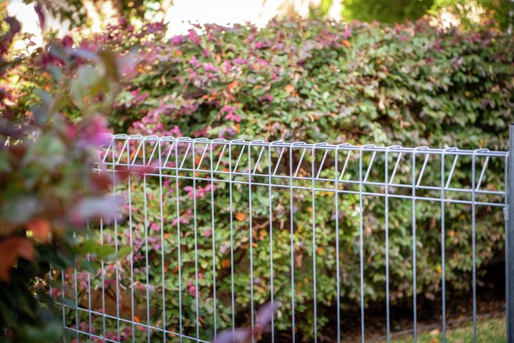 Rapid Products fencing and gate solutions installed in a residential outdoor setting