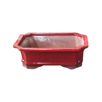 Northcote Pottery 32 x 26 x 11cm Red Rectangle Yama Bonsai Pot 