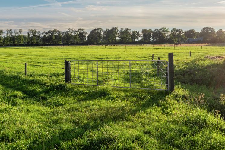 RapidFence fencing, gates and boundary solutions in outdoor environments