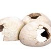 Aqua One Dinosaur Eggs Ornament 15.5x12.5x6cm (37385)