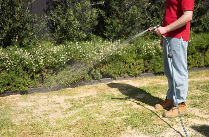 A person is using a garden hose with a spray nozzle to water the lawn after spreading the topdressing. 