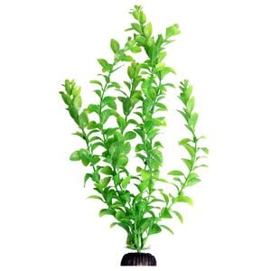 Aqua One Ecoscape X-Large Poly Hygro Green 40cm (28417)