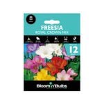 Bloomin' Bulbs Freesia Royal Crown Mix - 12 Pack