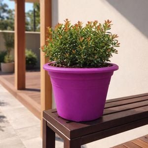Eden 15cm Purple Transparent Cylinder Planter