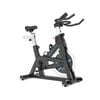 Lifespan Fitness SP-460 (M2) Spin Bike Exercise Bike Home Gym Workout