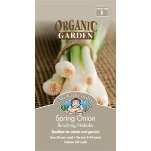 Mr Fothergill's Spring Onion Bunching Nebuka Organic Seeds