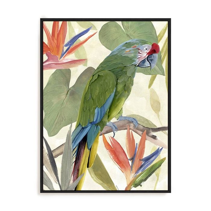 Artey | Tropical Parrot Composition I - Framed Canvas - Black Frame - 90 x 120cm