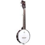 Melodic 5 String Banjo Beginner Music Instrument