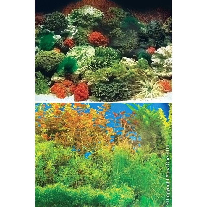 Aqua One Background Coral Black & Plant w/ Blue Double Sided 60cm (Per Metre) (10507)