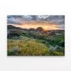 Park in the Alberta Badlands  Print 100% Australian Made 90 x 60cm  (Stretched)