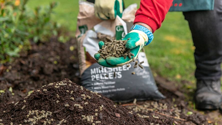 pellets pack
