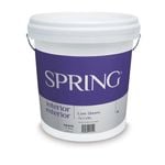 Spring 10L White Low Sheen Interior/Exterior Paint