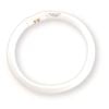 Nelson 180mm T5 Fluorescent 22W Cool White Tri-Phosphor Circular Tube