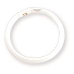 Nelson 180mm T5 Fluorescent 22W Cool White Tri-Phosphor Circular Tube