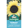 Fothergill's Sunflower Lemon Striker F1 Flower Seed