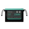 Green ESS Mint 12.8V 250Ah LiFePO4 RV Battery