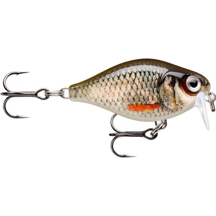 Rapala XLight Finesse Crank Shallow Runner Hard Body Fishing Lure Live Roach