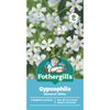 Fothergill's Gypsophila Monarch White Flower Seeds