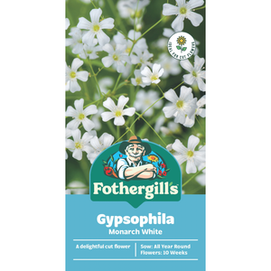 Fothergill's Gypsophila Monarch White Flower Seeds