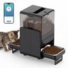 Advwin 5L Automatic Pet Feeder Smart Cat Feeder 2 Bowl