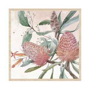 home+wares 76x76cm Framed Art Banksia 2
