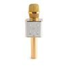 Art + Tech Wireless Bluetooth Karaoke Microphone Rechargeable Gold