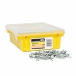NZ Nails 25 x 2.5mm 2kg Galvanised Clout A/G Nails