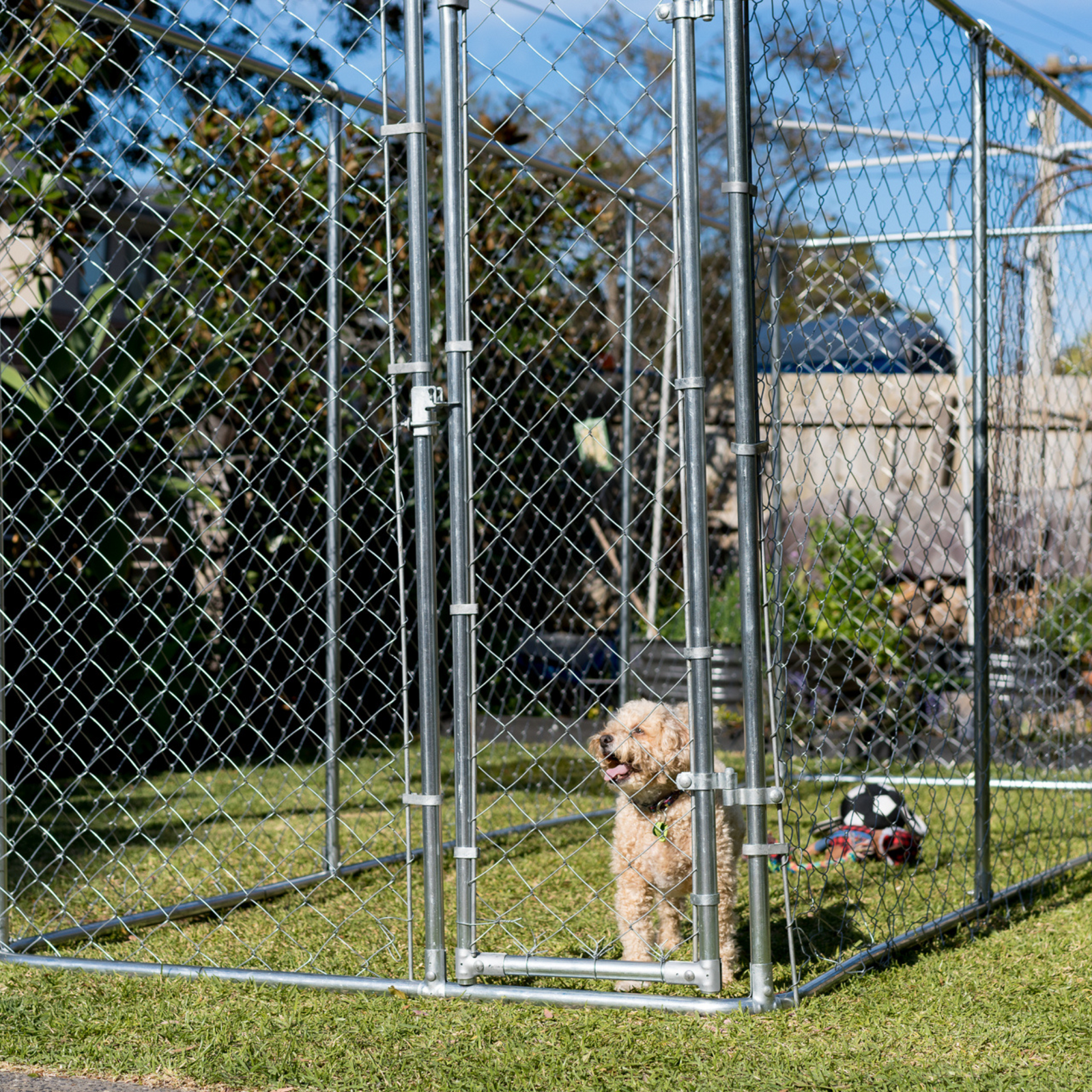 Dog enclosure bunnings discount
