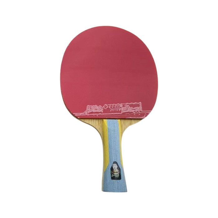Leaf Living Dhs Special 2*dhs6002 Pair 6 Star Table Tennis Bat Racket Ping Pong Free Bat Case
