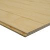 IBS V-Grooved 2400 x 1200 x 12mm Untreated Ply Lining