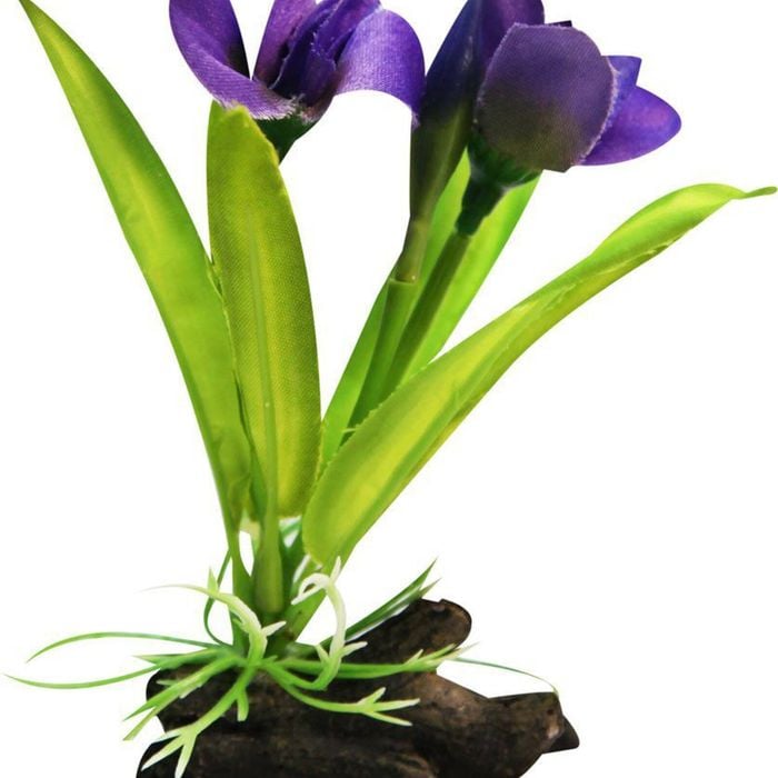 Aqua One Violet W/Log Base Plastic Plant - Small (28185)