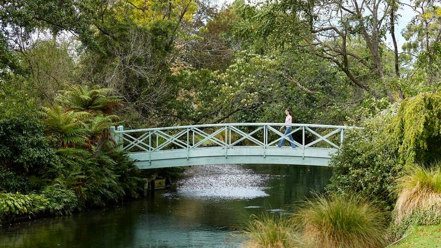 Bella walking across a bridge over a river surrounded by greenery