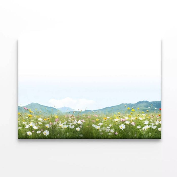 Flower Meadow with Mountains  Print 100% Australian Made 90 x 60cm  (Stretched)