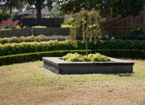 An image of a lawn with a plant in concrete.