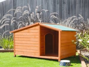 Wooden dog kennel with a green roof and a food bowl at the entrance
