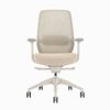 Desky CoilFlex Ergonomic Office Chair without Headrest