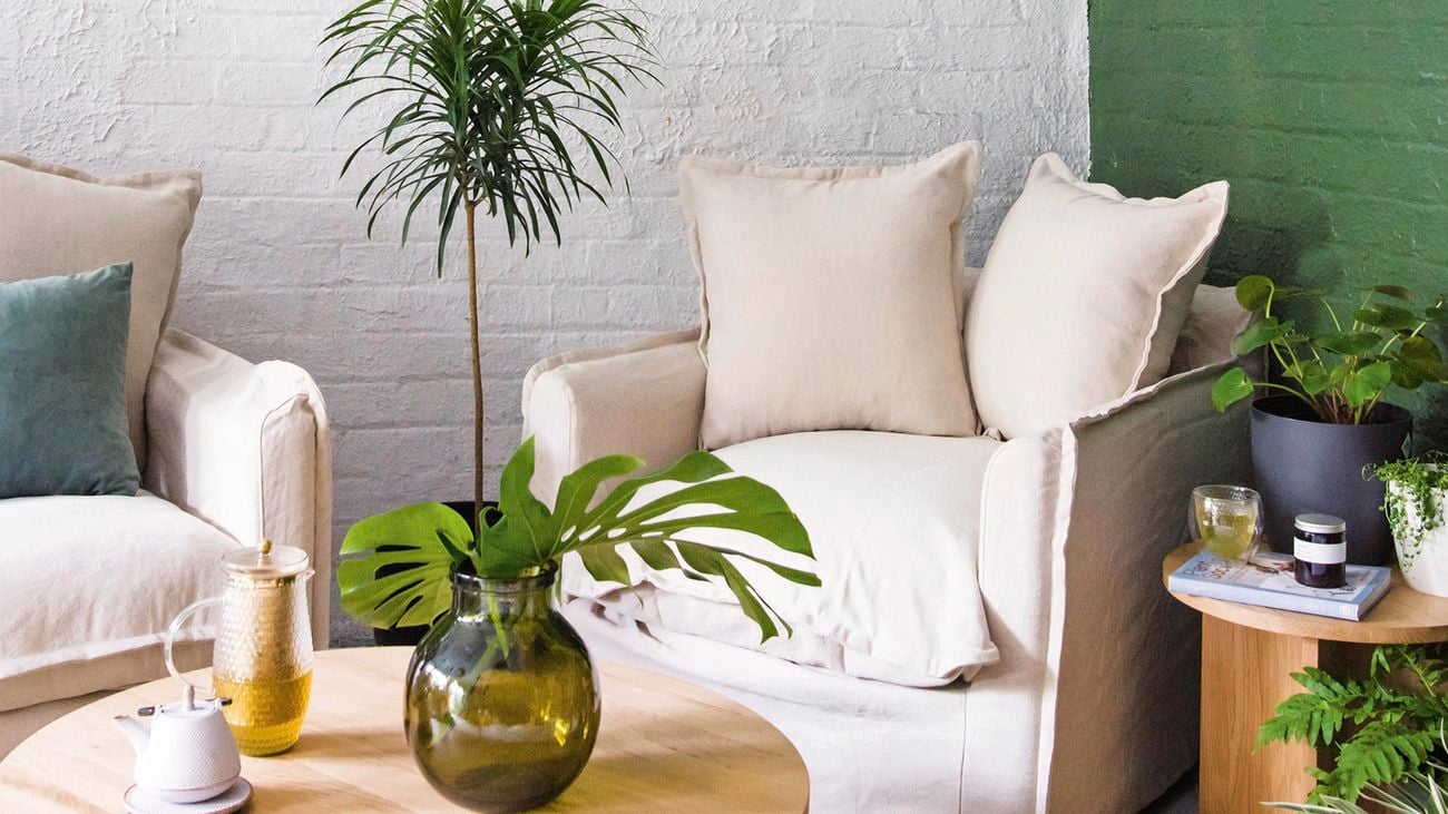 White armchairs in a living room full of indoor plants